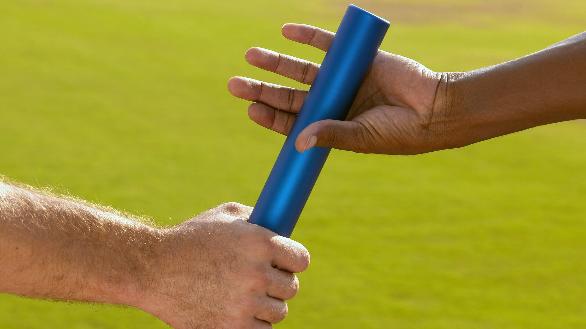 外教引进成效为何始终不明显,外教引入政策